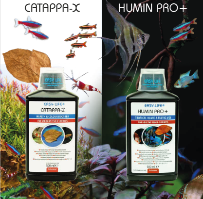 Catappa-X or Humin Pro+? Which one to choose? 