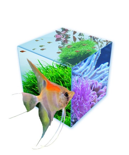 About Easy-Life aquarium products